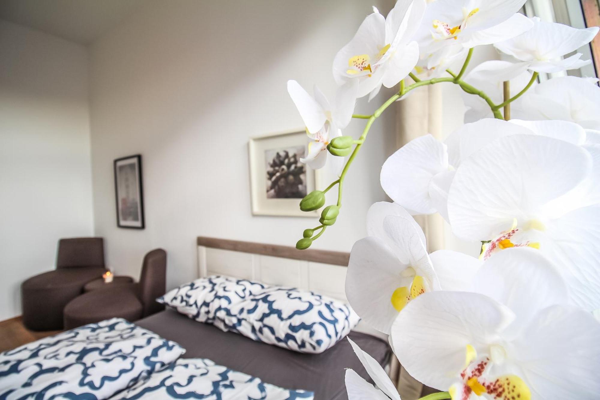 Disc Cozy Rooms In Liesing ウィーン エクステリア 写真
